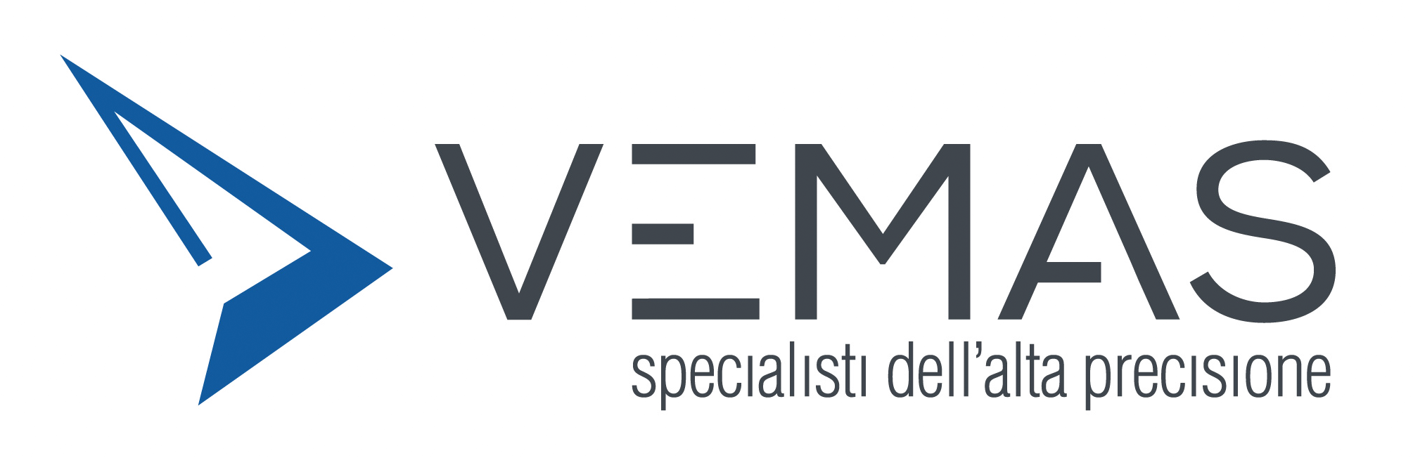 VEMAS logo